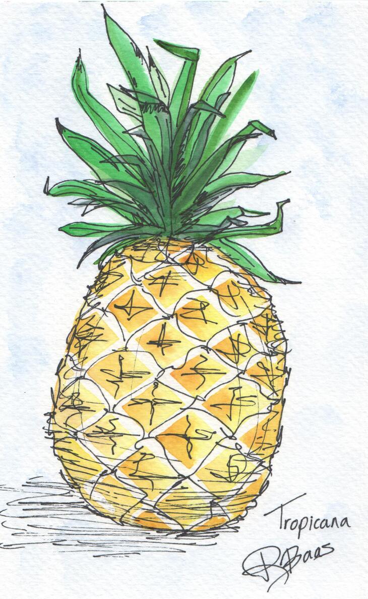 Ananas met fineliner en waterverf