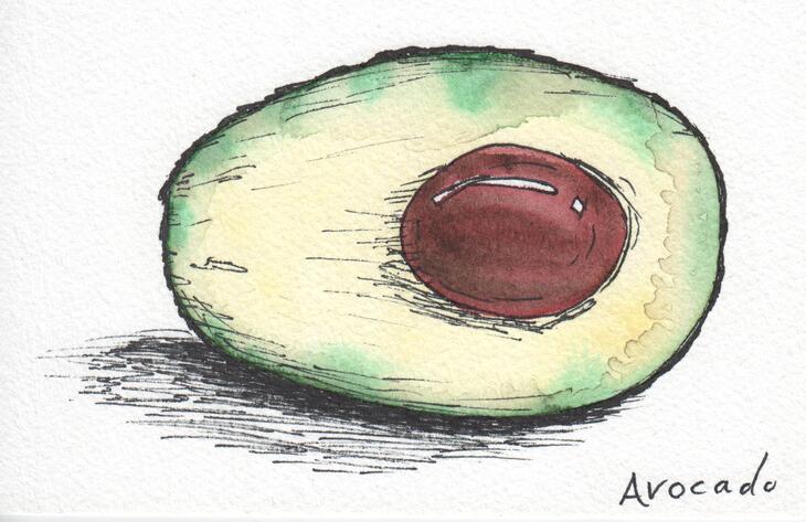 Avocado met fineliner en waterverf