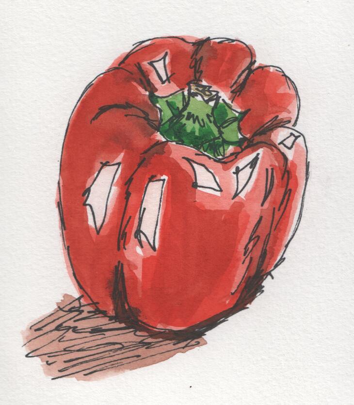 Paprika (waterverf en fineliner in schetsboekje)