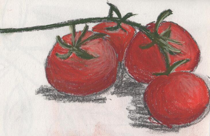 Tomaten (houtskool en pastelkruit in schetsboekje)